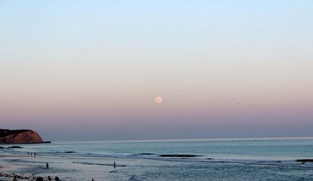 鋰電產業鏈企業競相“出海”