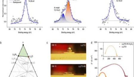 用于防止固態(tài)電解質(zhì)中鋰枝晶形成的整流界面