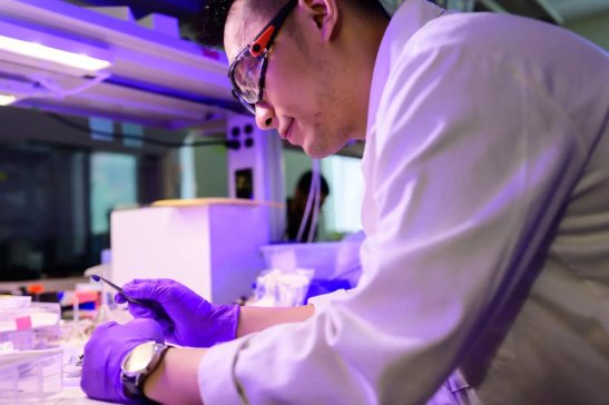 “預(yù)鋰化”突破！新工藝可使鋰電池壽命延長44%