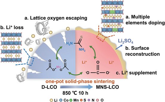 “一石三鳥”實現廢舊鈷酸鋰電池正極材料“再生”