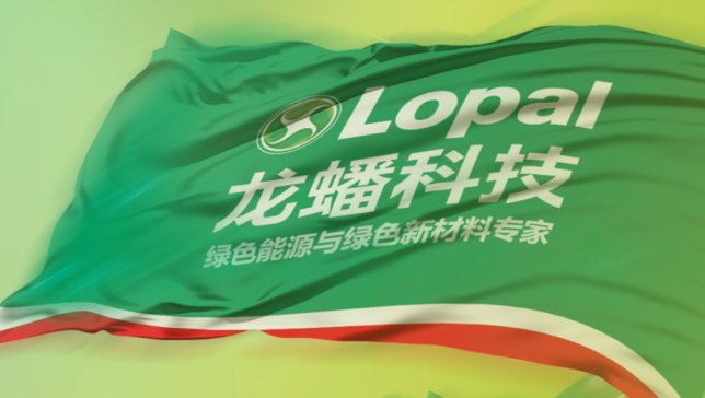 龍?bào)纯萍寂cLGES簽諒解備忘錄 擬合作在印尼運(yùn)營(yíng)正極材料工廠