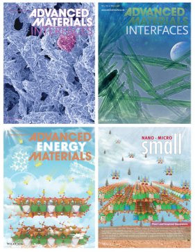 硅基超親電解液鋰電池隔膜研究獲進展