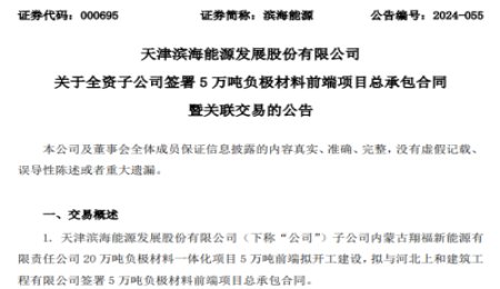 加快推進負極產業！濱海能源又一負極項目開工建設