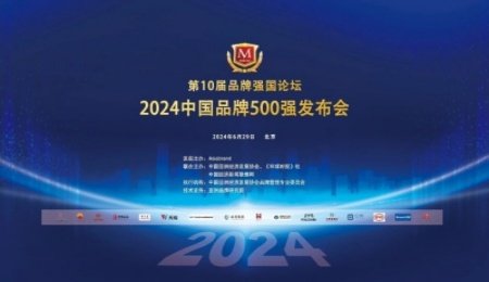 2024年“中國品牌500強”中的鋰電企業