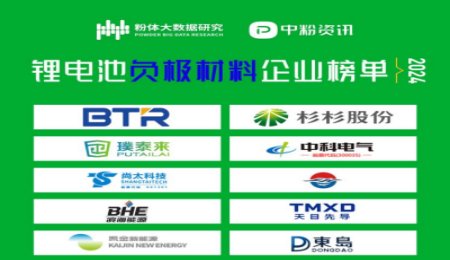 2024年鋰電池負(fù)極材料企業(yè)榜單