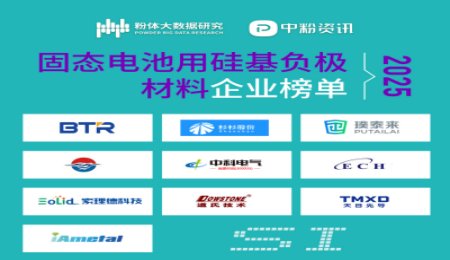 2025年固態電池用硅基負極材料企業榜單