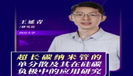 【會議報告】超長碳納米管的單分散及其在硅碳負極中的應用研究