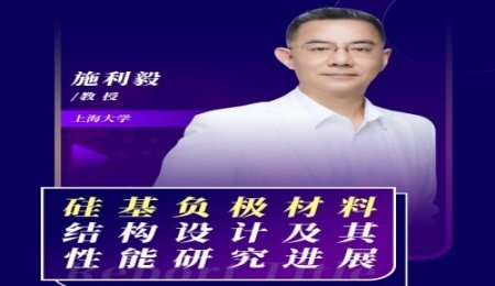 【會議報告】硅基負極材料結構設計及其性能研究進展