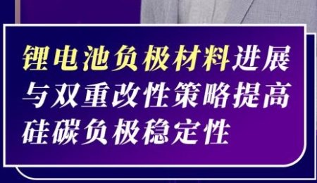 【會議報告】鋰電池負極材料進展與雙重改性策略提高硅碳負極穩定性