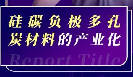 【會議報告】硅碳負極多孔炭材料的產業化