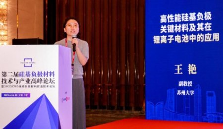 硅基負極材料表面修飾技術突破與產業化路徑探析——訪蘇州大學王艷副教授