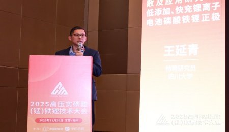 超長(zhǎng)碳納米管能夠有效提高磷酸鐵鋰材料導(dǎo)電性——訪四川大學(xué)特聘研究員王延青