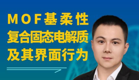 【會議報告】MOF基柔性復合固態電解質及其界面行為